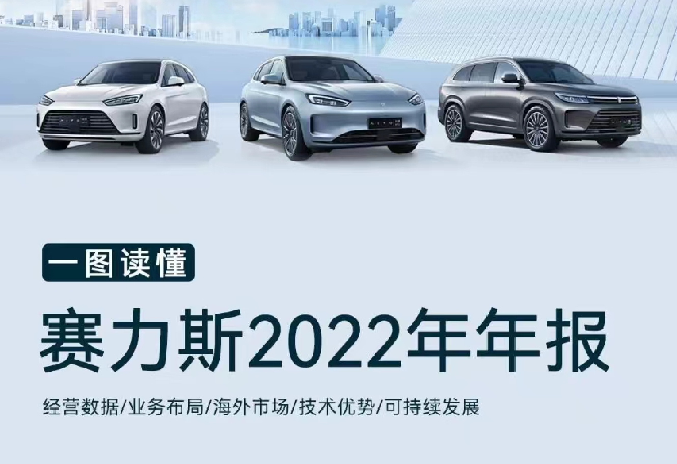 一图读懂赛力斯2022年年报